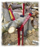 Der Pfiffige Sägebock